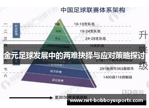 金元足球发展中的两难抉择与应对策略探讨