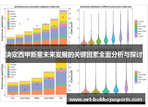 决定西甲新星未来发展的关键因素全面分析与探讨