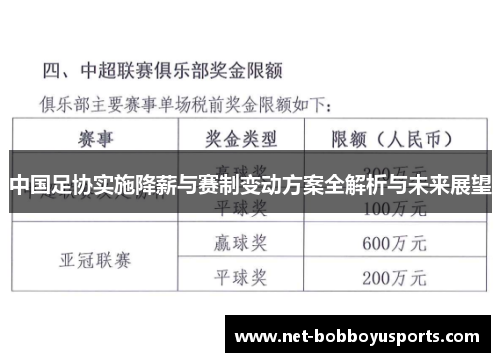 中国足协实施降薪与赛制变动方案全解析与未来展望