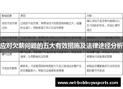 应对欠薪问题的五大有效措施及法律途径分析