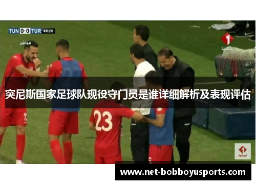突尼斯国家足球队现役守门员是谁详细解析及表现评估