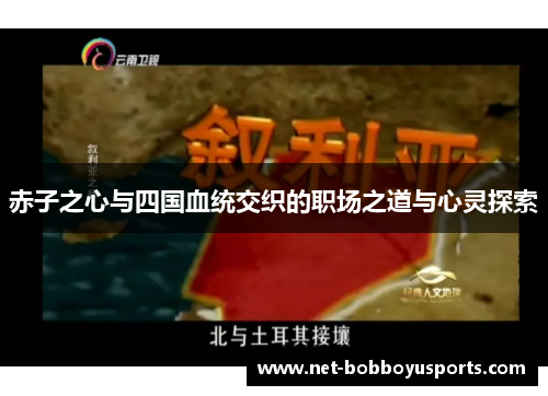 赤子之心与四国血统交织的职场之道与心灵探索